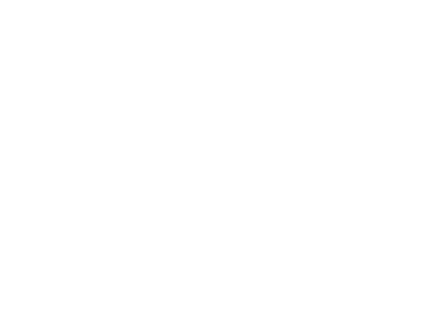 Youth Crusaders